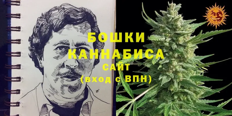 Каннабис White Widow  Берёзовка 